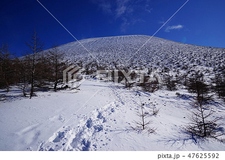 賽ノ河原からの前掛山２ 47625592