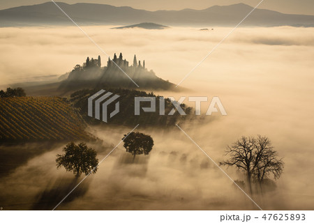 Drowned in the fog 47625893