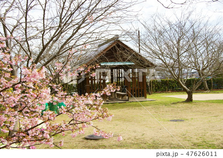 東屋と桜 東屋と桜 47626011