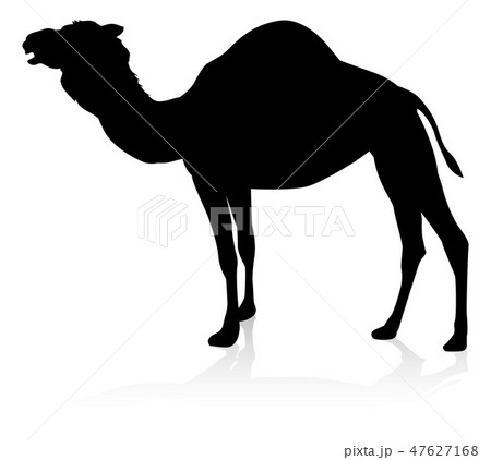 Camel Animal Silhouette Camel Animal Silhouette 47627168