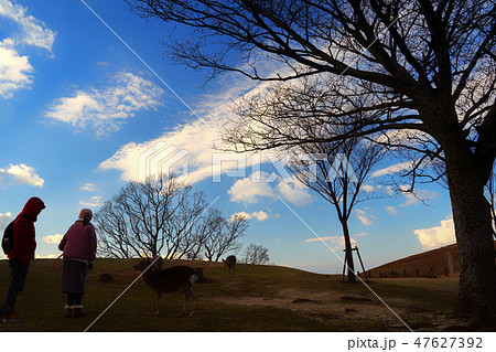 若草山展望台からの景色 47627392