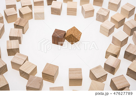 マイノリティのイメージ 47627789