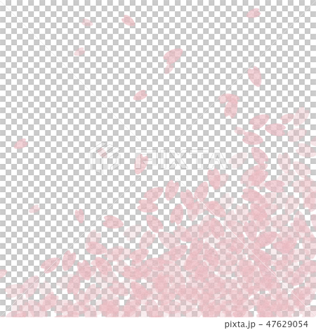 Cherry background 47629054
