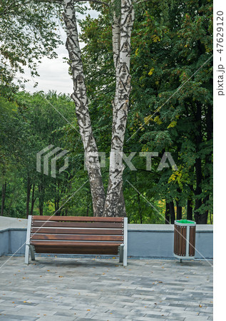 Wooden bench and garbage bin 47629120