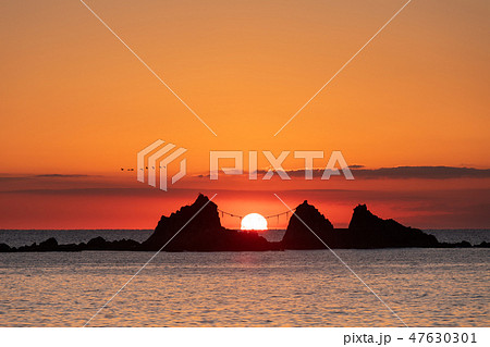 神奈川_真鶴三ツ石朝焼け 47630301