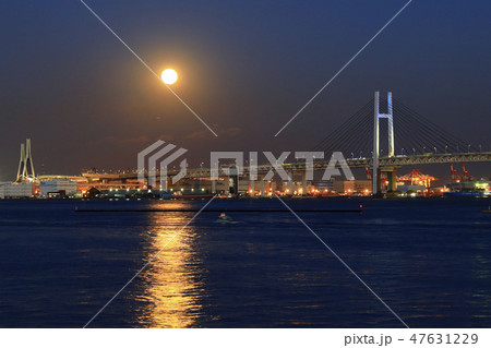 横浜港　夜景 47631229
