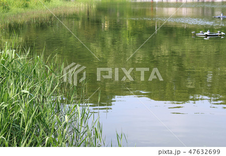 公園 屋外 室外 47632699