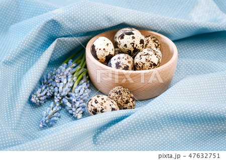 quail eggs quail eggs 47632751