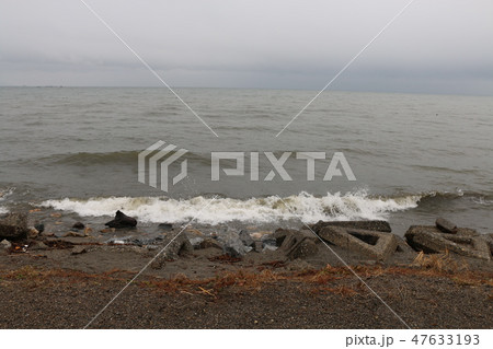 琵琶湖 琵琶湖 47633193