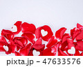 Happy Valentine's day:many petals of red rose 47633576