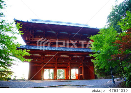 高野山 金剛峯寺 総本山 大門 / 総門 (歌山県 伊都郡 高野町) 高野山 金剛峯寺 総本山 大門 / 総門 (歌山県 伊都郡 高野町) 47634059