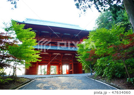 高野山 金剛峯寺 総本山 大門 / 総門 (歌山県 伊都郡 高野町) 高野山 金剛峯寺 総本山 大門 / 総門 (歌山県 伊都郡 高野町) 47634060