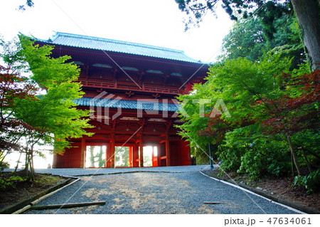 高野山 金剛峯寺 総本山 大門 / 総門 (歌山県 伊都郡 高野町) 高野山 金剛峯寺 総本山 大門 / 総門 (歌山県 伊都郡 高野町) 47634061