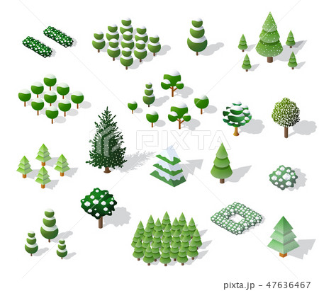 Set of Christmass winter 47636467