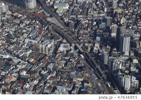 東武特急スペーシア雅編成と東武亀戸線8000系赤色 47636955