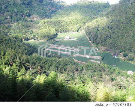 南投 阿里山 玉山 47637388