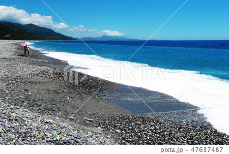 東海岸 とうがん 三仙台 47637487