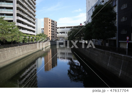 蒲田　呑川 47637704