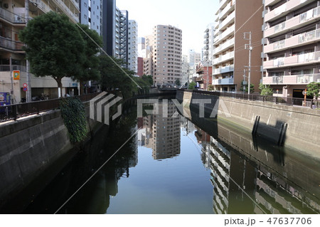 蒲田　呑川 47637706