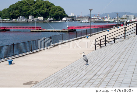 宇品波止場公園の景色 47638007