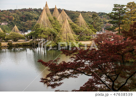 兼六園の秋 兼六園の秋 47638539