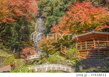 清水の滝と紅葉　佐賀県小城町　日本 47638633