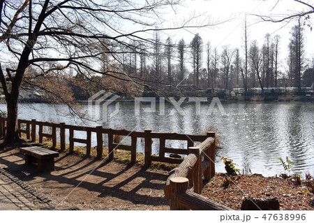 井の頭恩賜公園３ 47638996