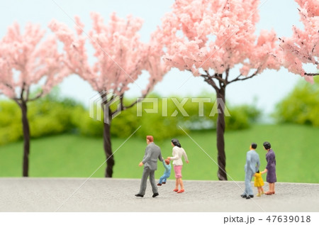 親子と桜 親子と桜 47639018