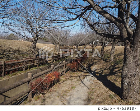 散歩道の公園 散歩道の公園 47639187