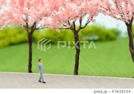 桜とスーツの男性 桜とスーツの男性 47639254