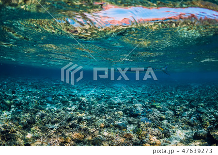 Underwater with reef, corals and tropical fish. Underwater with reef, corals and tropical fish. 47639273