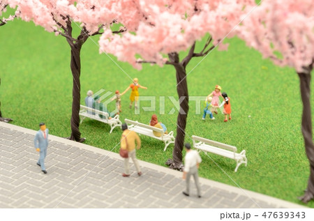 桜並木 桜並木 47639343