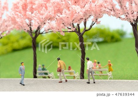 桜並木 47639344