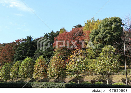 東京都港区元赤坂の風景 東京都港区元赤坂の風景 47639693