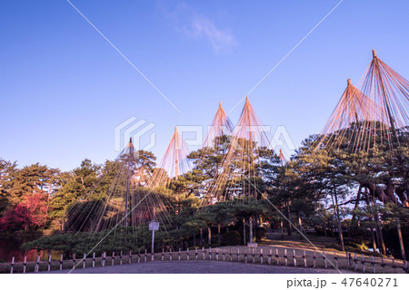 兼六園の秋 47640271