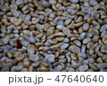 Coffee Bean 47640640