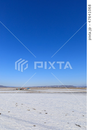 北海道_広大な十勝の平野 北海道_広大な十勝の平野 47641068