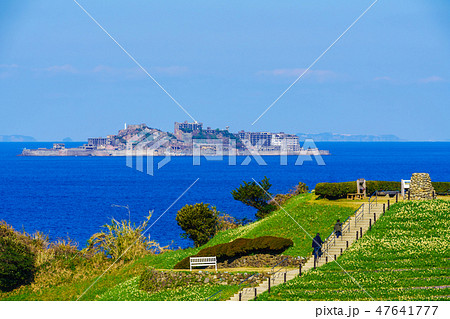 のもざき水仙まつり 軍艦島を望む 【長崎県長崎市野母崎町】 のもざき水仙まつり 軍艦島を望む 【長崎県長崎市野母崎町】 47641777