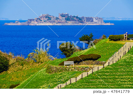 のもざき水仙まつり　軍艦島を望む　【長崎県長崎市野母崎町】 47641779