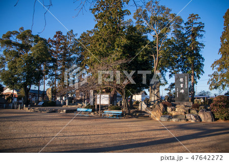畠山重忠公史跡公園　埼玉県深谷市 47642272