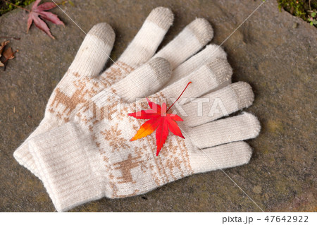 手袋と紅葉 47642922
