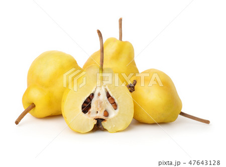 Group of ripe japanese quince fruits Group of ripe japanese quince fruits 47643128