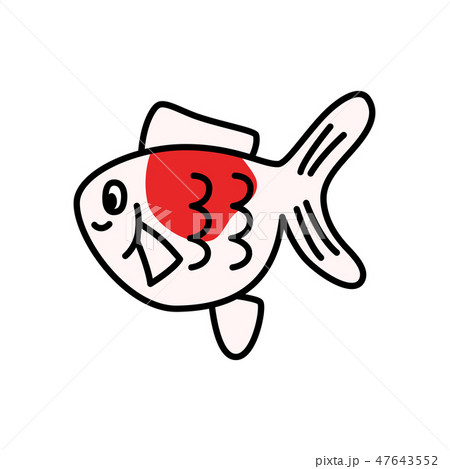 赤と白の金魚のイラスト素材