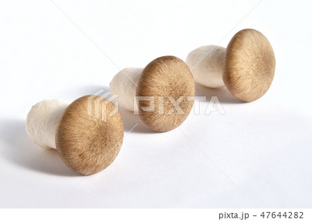 きのこ（大黒本しめじ） 47644282