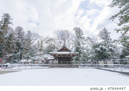 多賀大社205 47644447