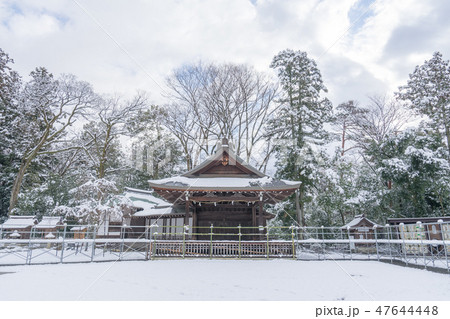 多賀大社202 47644448