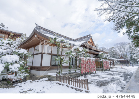 多賀大社199 47644449