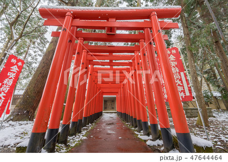 多賀大社120 47644464