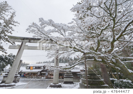 多賀大社40 47644477