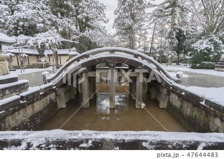 多賀大社28 47644483